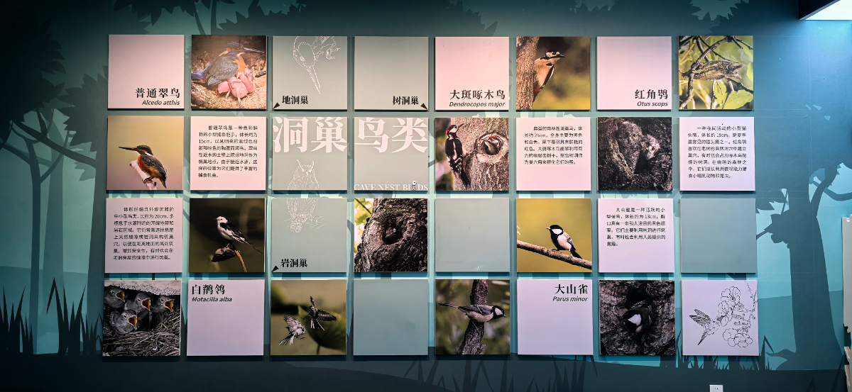 采风微山湖畔，探寻北方江南的悠然之旅