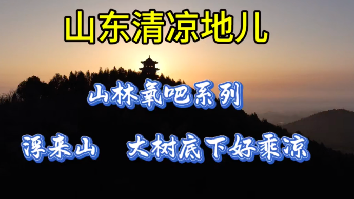 马池珠｜山东清凉地儿——山林氧吧系列：浮来山，大树底下好乘凉