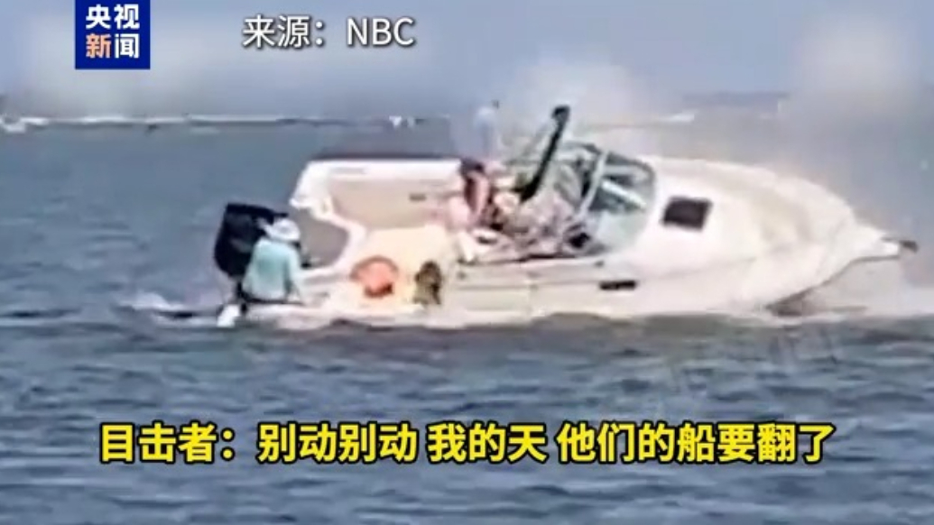 鲸鱼撞船致1人落水，美新泽西州海岸现惊险一幕