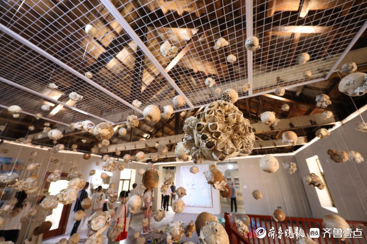 图集｜“大海拾荒艺术家”收集遗弃物办展览，呼吁海洋生态保护