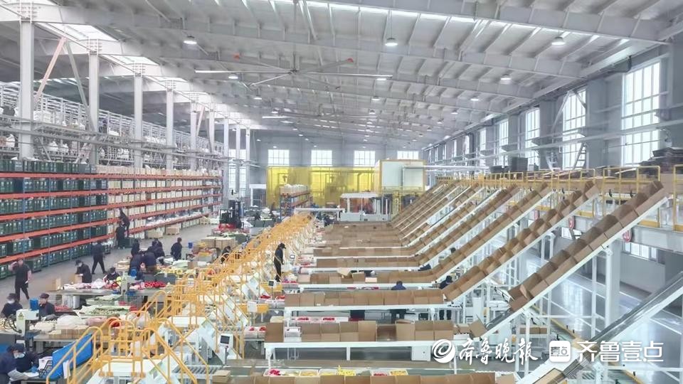 专题丨产业链上的山东（日照）好品牌