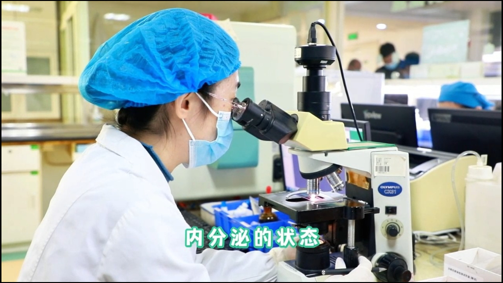 红绘医生说丨AMH低还能怀孕吗？关键在于科学应对