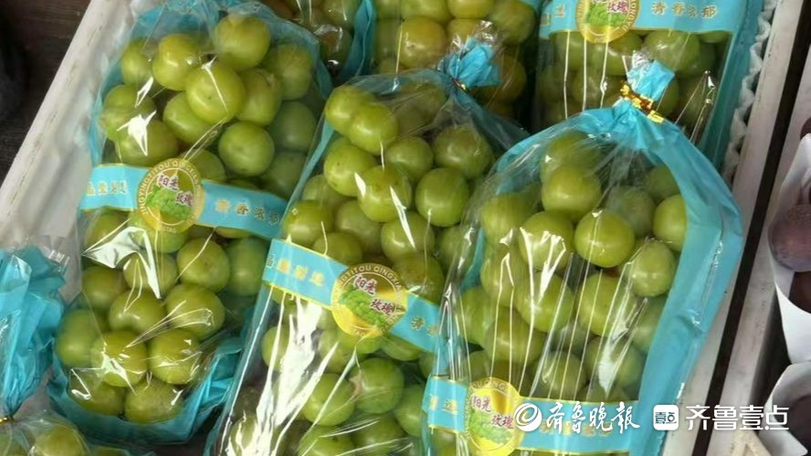 批发价低至每斤5元，济南阳光玫瑰价格走低
