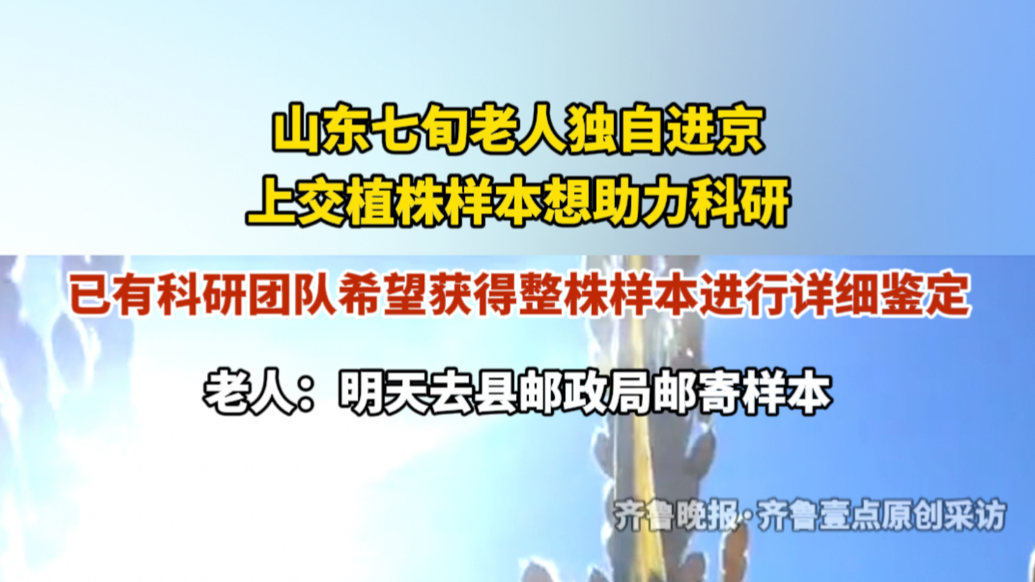果然视频｜山东七旬老人独自赴京送“科研快递”，想为农业搭把手