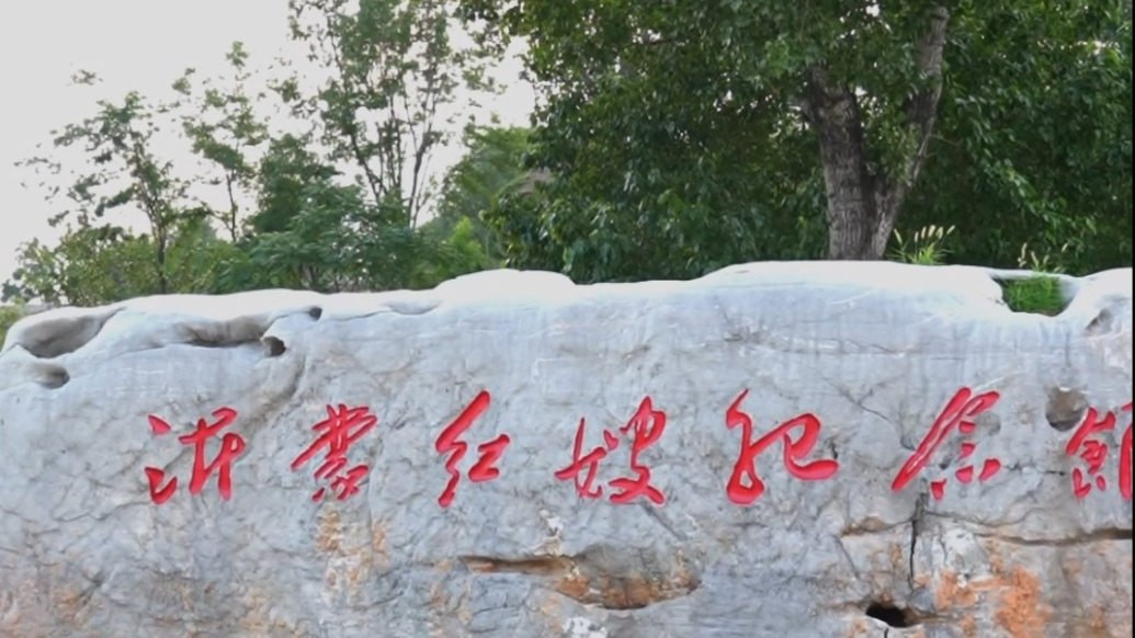 基因·蝶变|沂蒙红嫂：沂蒙精神独有的血肉和筋骨
