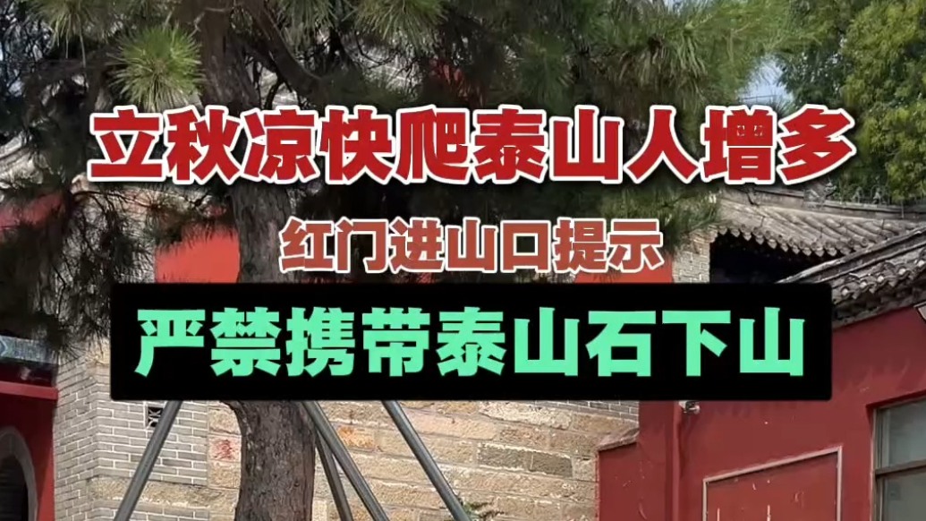 果然视频|泰山红门进山口提示：严禁携带泰山石下山