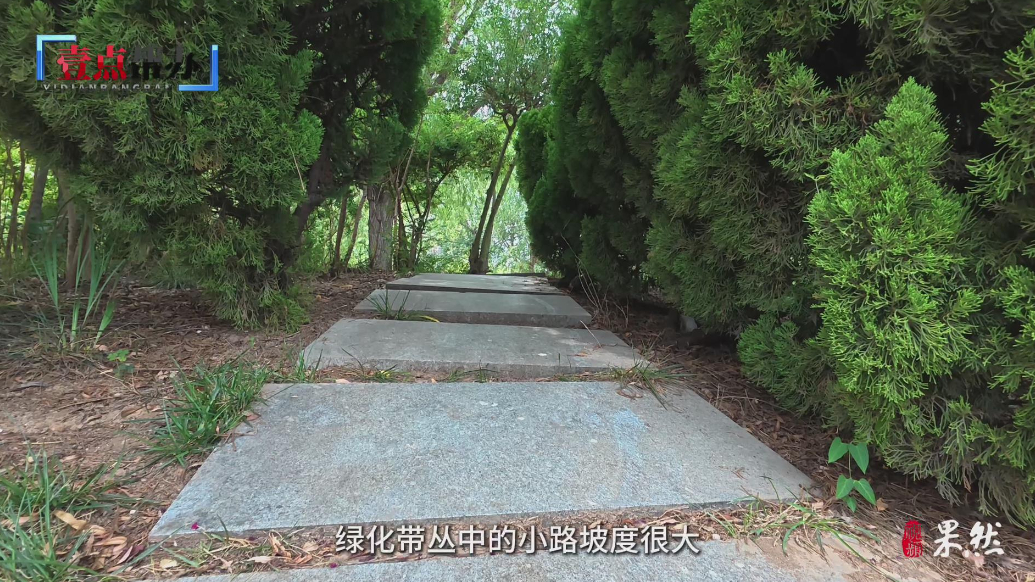 壹点帮办|聊城运河边石板路坡陡易滑，帮办介入后相关部门已整改
