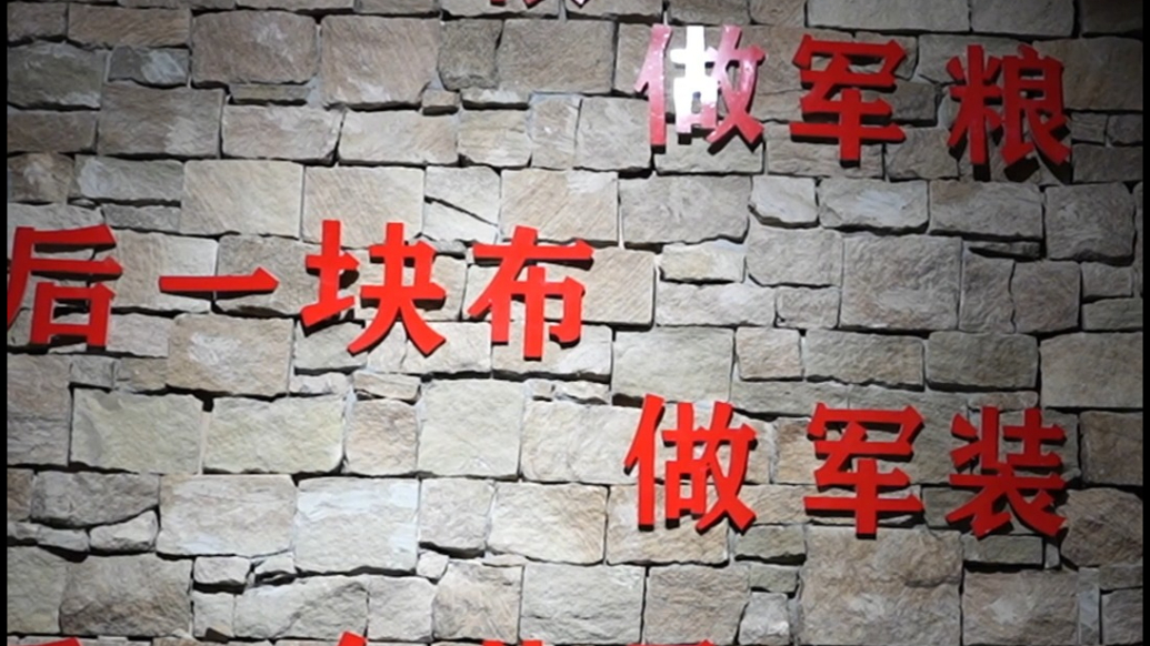 基因·蝶变｜烽火中的铿锵玫瑰，岁月里的精神丰碑