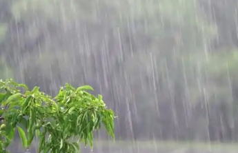 目前济南市降雨已明显减弱，预计今天早晨到上午有小雨