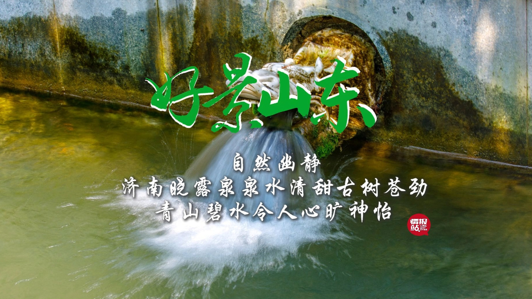 果然视频·好景山东|济南晓露泉泉水清甜古树苍劲，令人心旷神怡