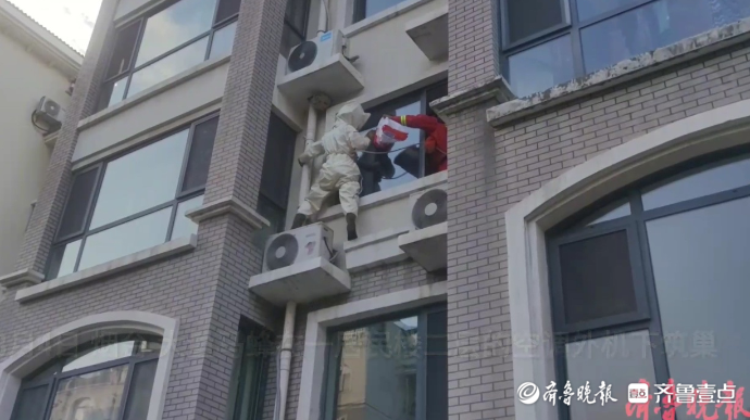 果然视频|马蜂在空调外机下筑巢，消防员及时到场清除