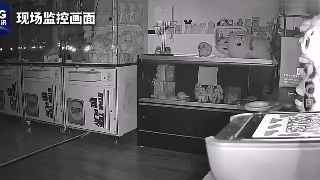 果然视频·看天下|美一商店被盗7000美元拉布布