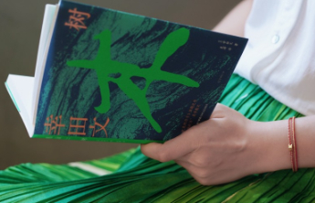 书摘｜经历了生命的洗礼，那些树木依然挺拔美丽