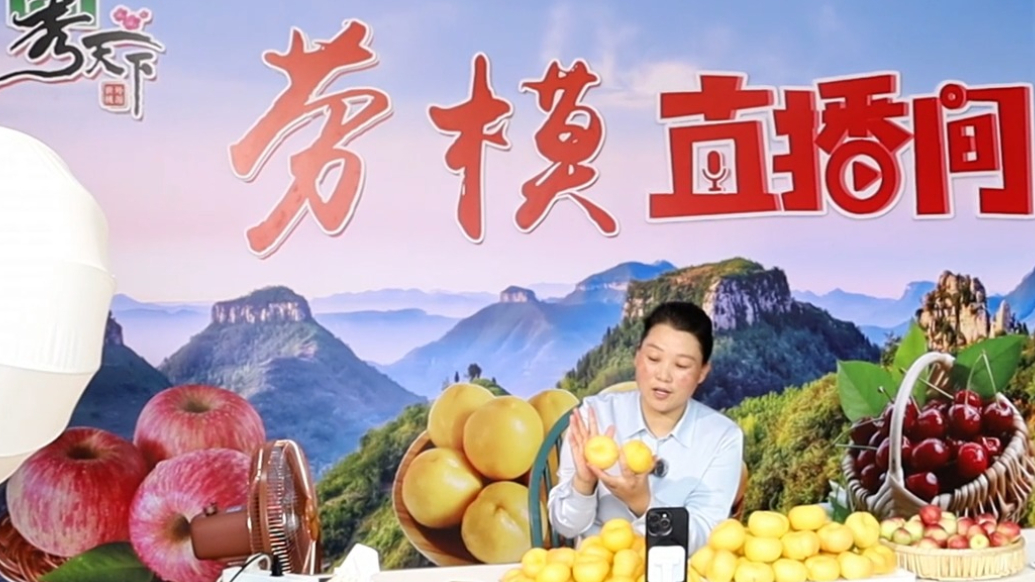 果然视频丨从家庭妇女到鸿雁人才！牛庆花这样带动乡亲增收致富