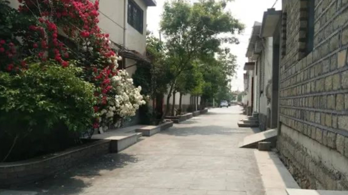 长清区启动背街小巷环境精细化治理提升三年行动