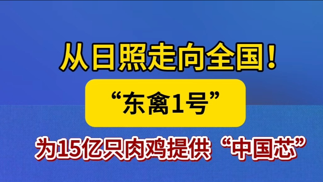 果然视频丨从日照到全国！东禽1号为15亿只肉鸡提供“中国芯”