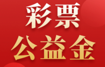 财政部发布关于下达2025年中央专项彩票公益金相关《通知》