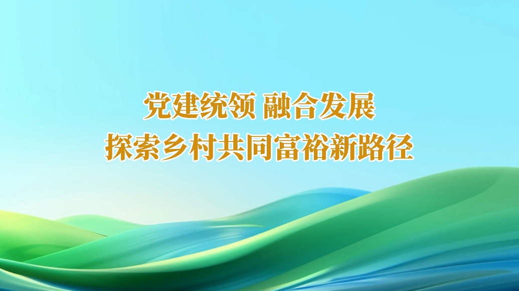 “山东省乡村振兴优秀案例”融媒展播