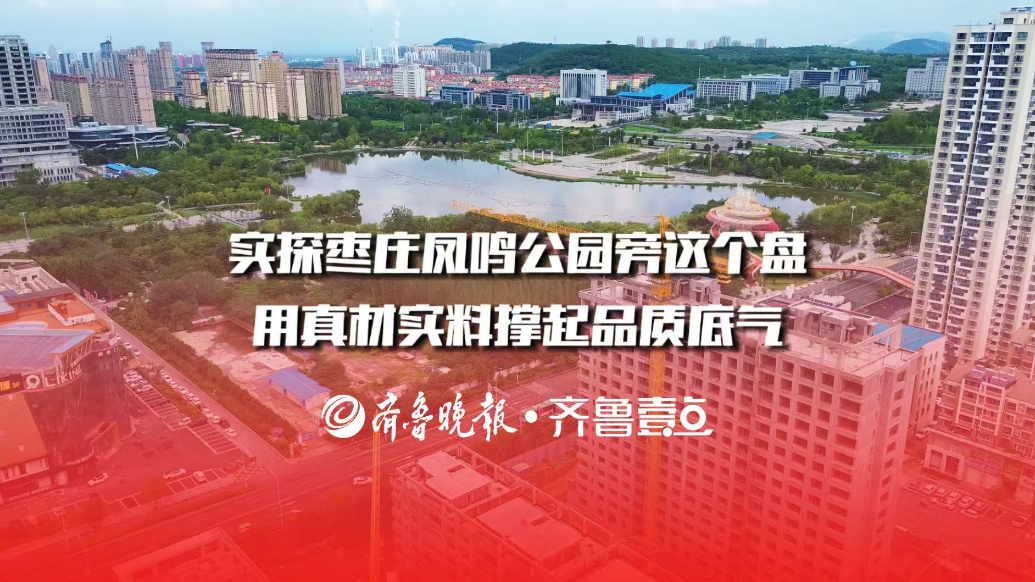 实探枣庄凤鸣公园旁这个盘，用真材实料撑起品质底气
