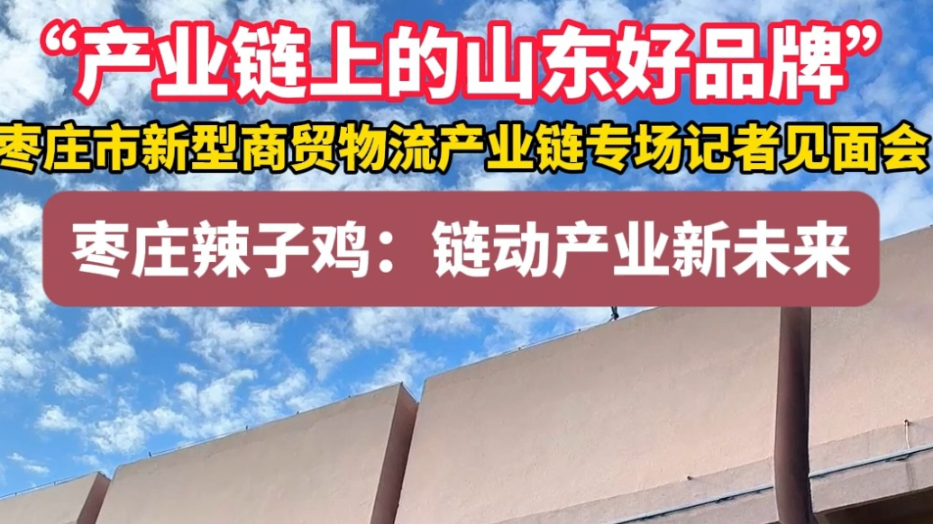 产业链上的山东好品牌丨枣庄辣子鸡：链动产业新未来