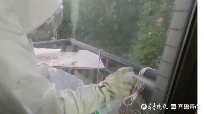 果然视频|马蜂在居民家阳台筑巢，消防员到场五分钟化解