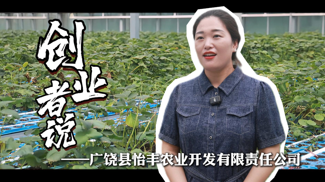 创业者说|李悦悦：育苗棚里的共富带头人