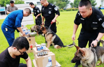 30分钟找回走失老人！潍坊寿光警犬凭实力赢得锦旗和罐头