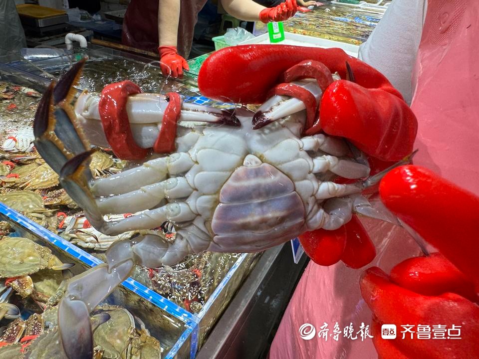 梭子蟹抢“鲜”上市！价格比去年便宜不少，不少摊位日销上百斤