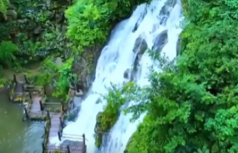 Explore green fantasy in Shandong