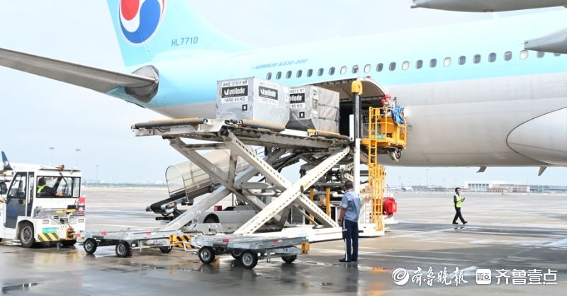 青岛机场持续加密中日空中货运通道