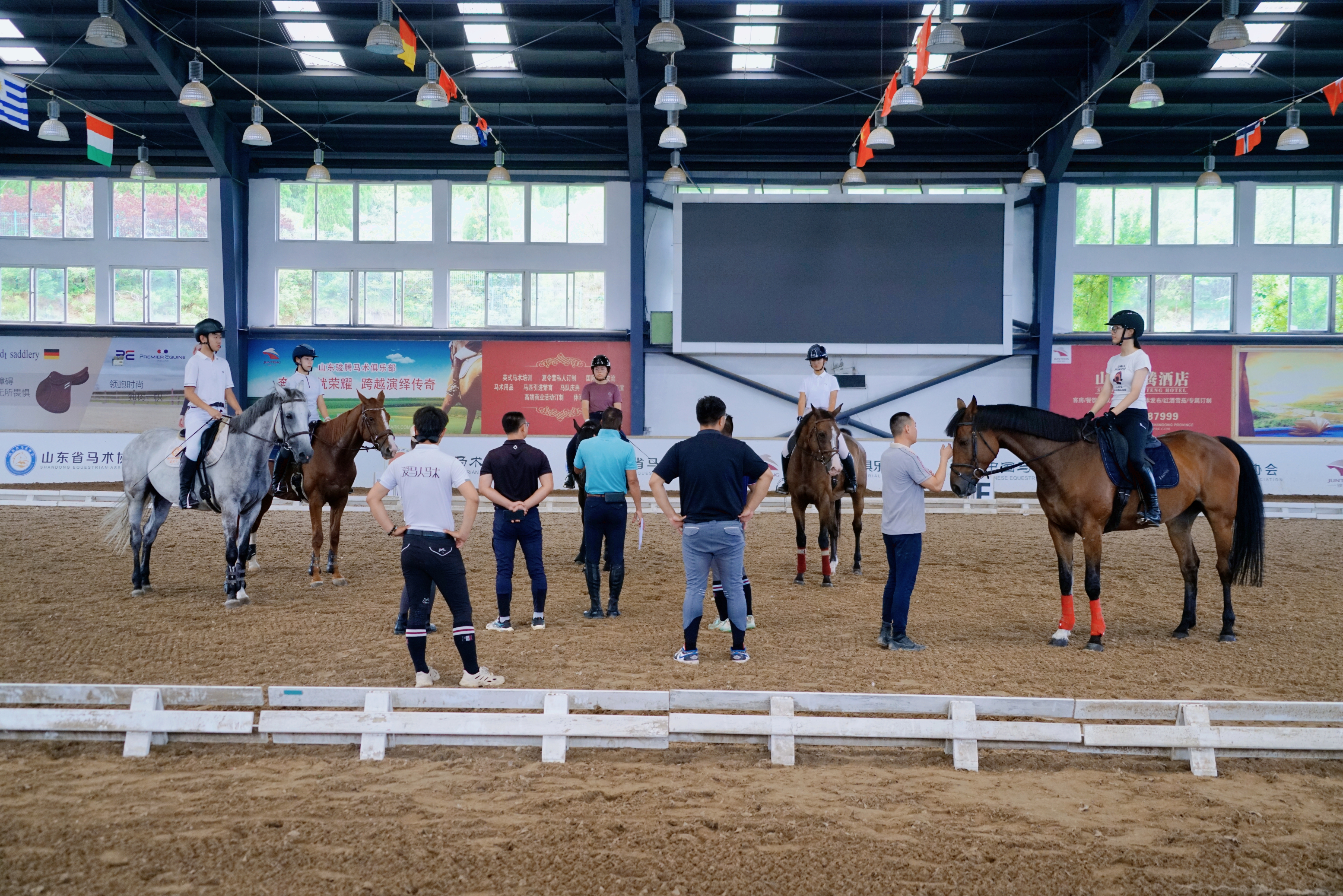 济南市第一届运动会马术比赛19日开赛，参赛规模创新高