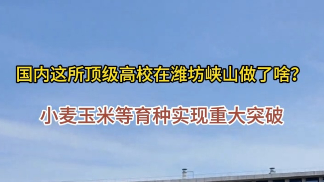 果然视频|国内这所顶级高校在潍坊峡山做了啥？