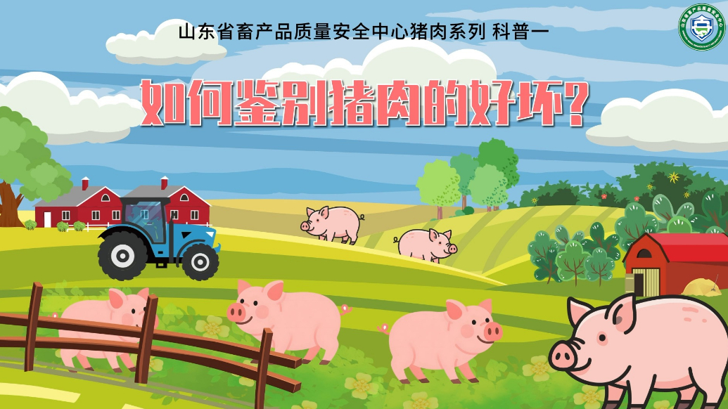 畜安科普|如何辨别猪肉的好坏？