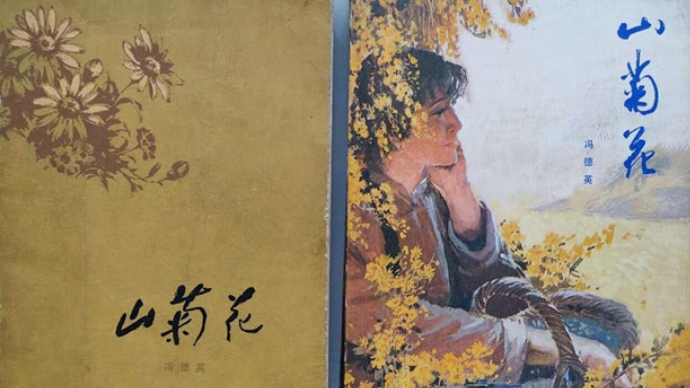 纸上烽烟|铁血装点锦山河，《山菊花》中的英雄理琪与血战雷神庙