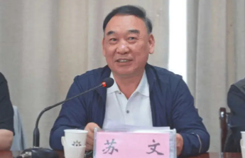 头衔全是漏洞，别让下一个“苏文”趁虚而入