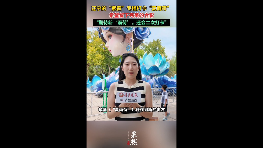 专题|“湖畔雨荷”点燃济南千年心跳