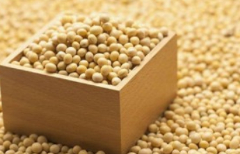 美大豆协会呼吁尽早同中国达成协议缓解豆农危机