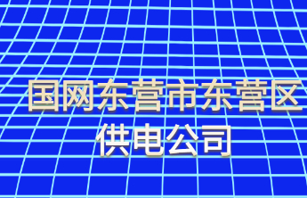 国网东营市东营区供电公司：党建引领走在前、廉洁自律守底线