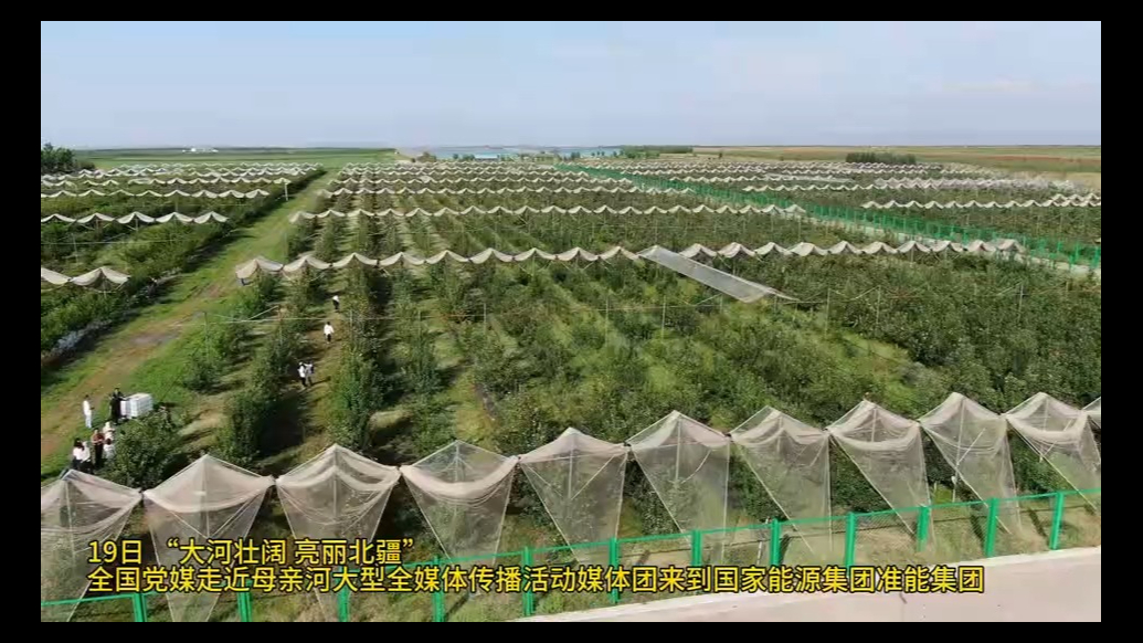 果然视频|从“黑”到“绿”，准能集团书写绿色矿山生态奇迹