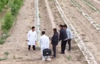 “90后”博士在新疆，用技术把盐碱地改良成“金土地”