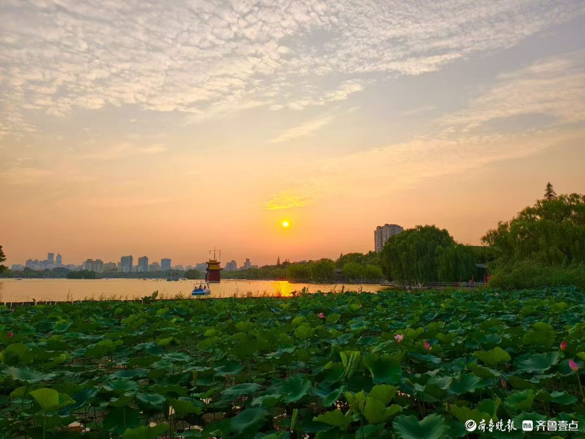 大明湖的夕阳，满屏浪漫气息
