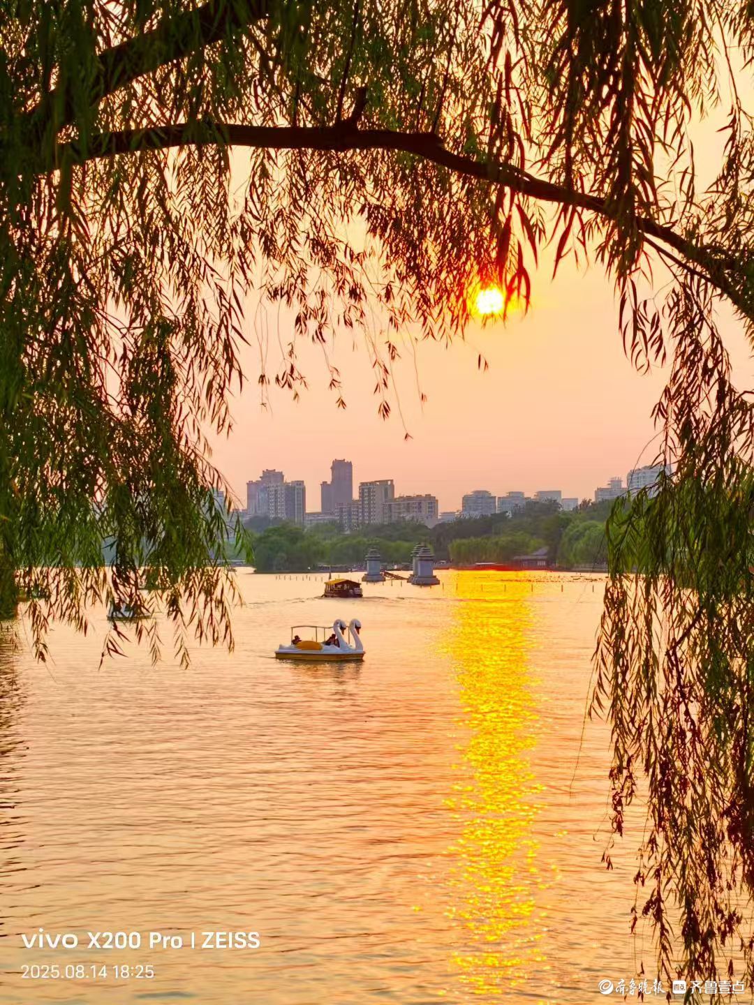 大明湖的夕阳，满屏浪漫气息