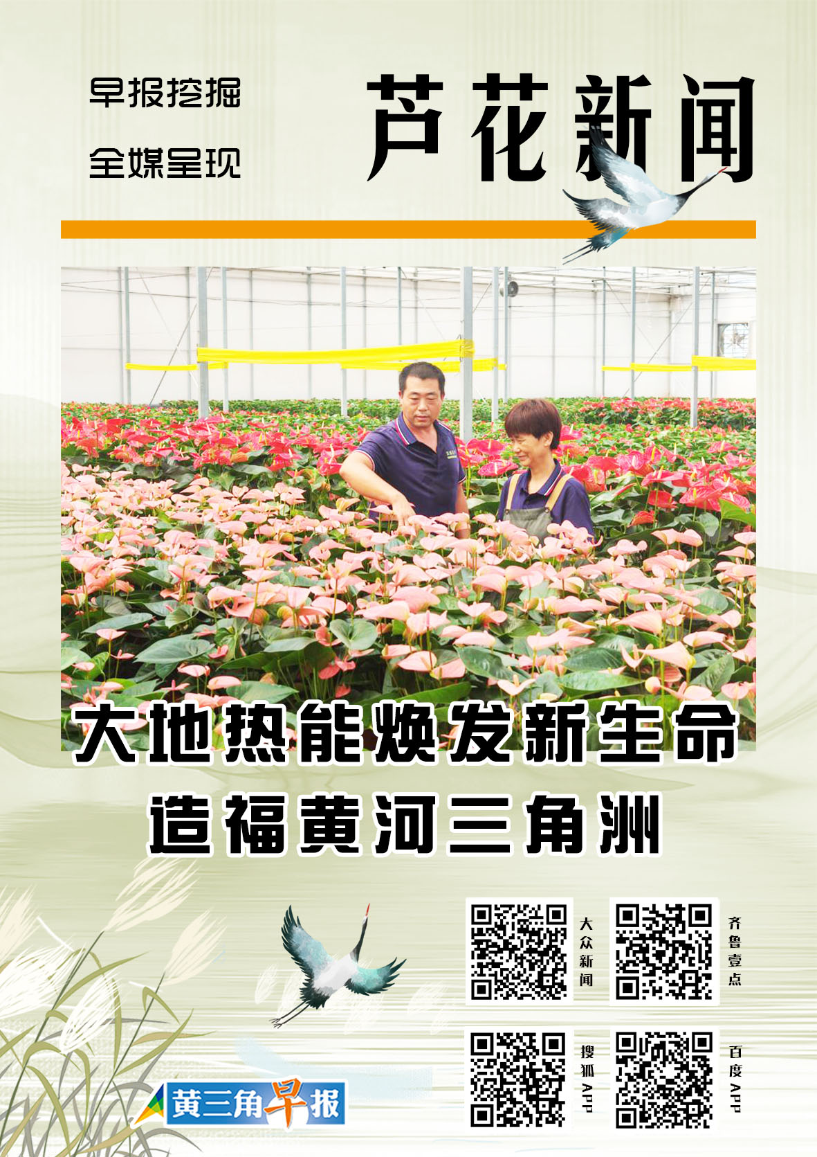 芦花海报|大地热能焕发新生命造福黄河三角洲