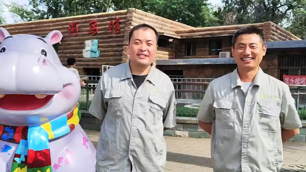 果然视频|动物视界（435）河马京津26岁啦