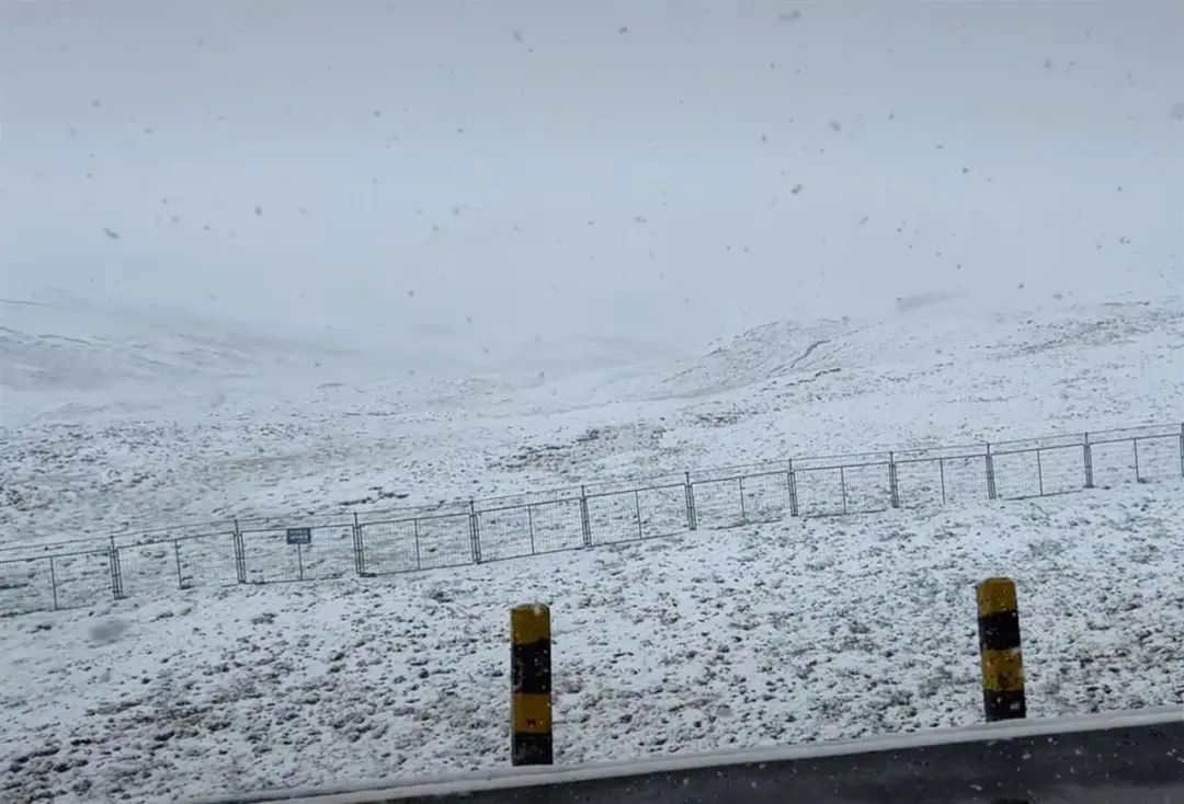 最新预报：青岛局部超37℃，高温高湿持续！而这里，8月突降大雪，下了三四个小时→