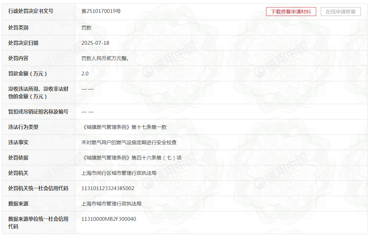 上海百斯特能源发展有限公司违规被罚
