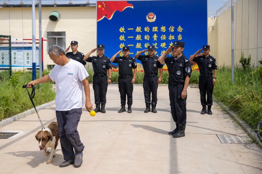 山东滨州：警犬“荣休”，老战友再见！