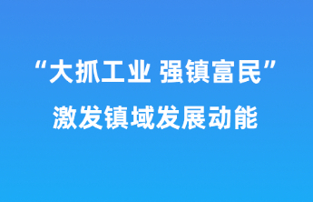 “大抓工业 强镇富民”激发镇域发展动能