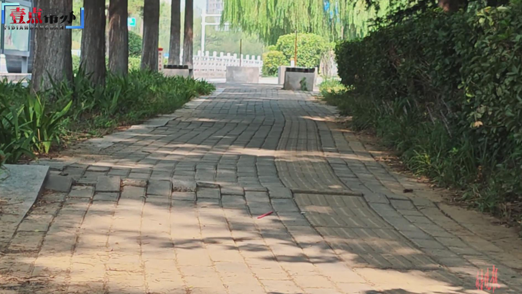 壹点帮办|泰安一人行道地砖鼓起存隐患，帮办协调园林迅速修复