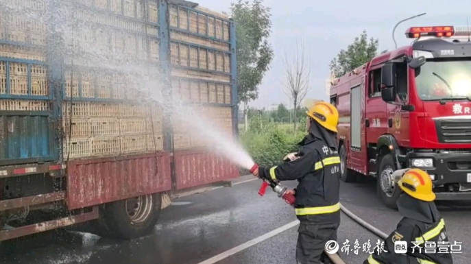 果然视频|货车抛锚致一车活鸡“中暑”，消防员到场喷水降温